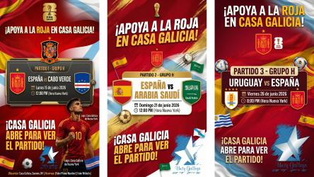 Partidos Mundial España